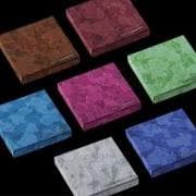 The Sin: Vanish (Fugitive Version)