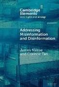 Addressing Misinformation and Disinformation