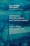 Addressing Misinformation and Disinformation