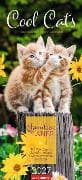 Cool Cats Familienplaner 2027