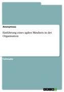 Einführung eines agilen Mindsets in der Organisation