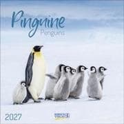 Pinguine 2027