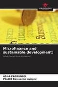 Microfinance and sustainable development