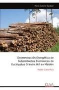 Determinación Energética de Subproductos Biomásicos de Eucalyptus Grandis Hill ex Maiden