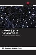 Grafting gold nanoparticles