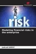 Modeling financial risks in the enterprise