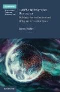 TRIPS Foundations Revisited