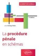 La procédure pénale en schémas
