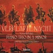 Tchaikovsky: Piano Trio; Schoenberg: Verklärte Nacht