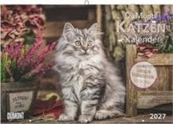 DuMonts Katzen Kalender 2027