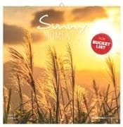 Sunny Moments 2027