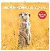 Erdmännchen 2027