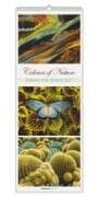 Colours of Nature - Triplets 2027