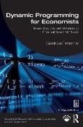 Dynamic Programming for Economists