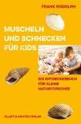 Muscheln und Schnecken für Kids