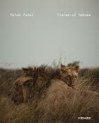 Mital Patel - States of Nature