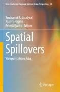 Spatial Spillovers