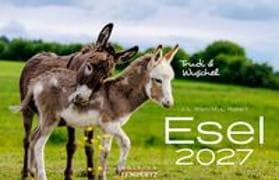 Esel Kalender 2027