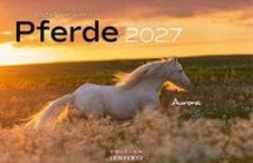 Pferde Kalender 2027 Wandkalender