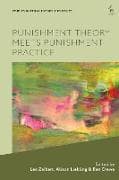 Punishment Theory Meets Punishment Practice