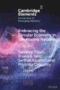 Embracing the Circular Economy in Developing Nations