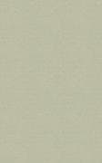 A Compendious Law Dictionary [1803]