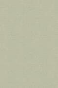 The Cyclopedic Law Dictionary [1922]