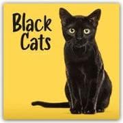 Black Cats - Schwarze Katzen 2027 - Wand-Kalender