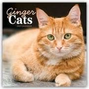 Ginger Cats - Rothaarige Katzen 2027 - Wand-Kalender