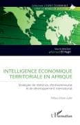 Intelligence économique territoriale en Afrique