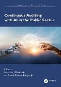 Continuous Auditing with AI in the Public Sector