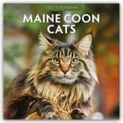 Maine Coon Cats - Maine Coon Katzen 2027 - 16-Monatskalender