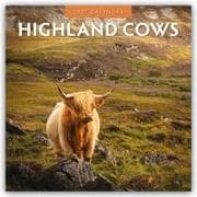Highland Cows - Hochland Kühe 2027 - 16-Monatskalender