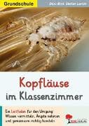 Kopfläuse im Klassenzimmer