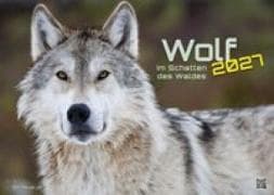 Wolf - Im Schatten des Waldes - 2027 - Kalender DIN A2