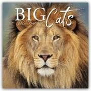 Big Cats - Raubkatzen - Löwen Tiger Geparden Leoparden 2027 - 16-Monatskalender