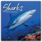 Sharks - Haie 2027 - 16-Monatskalender