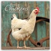 Chickens - Hühner 2027 - 16-Monatskalender