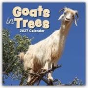 Goats in Trees - Ziegen auf Bäumen 2027 - 16-Monatskalender
