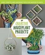 Creative Houseplant Projects