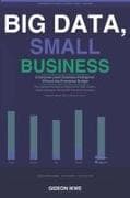 BIG DATA, SMALL BUSINESS