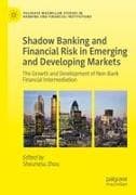 Shadow Banking and Financial Risk in Emerging and Developing Markets