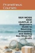 SEA MOSS SIDE HUSTLE