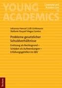 Probleme gesetzlicher Schuldverhältnisse