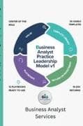 Business Analyst Practice Leadership Volume 1