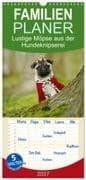 Familienplaner 2027 - Lustige Möpse aus der Hundeknipserei mit 5 Spalten (Wandkalender, 21 x 45 cm) CALVENDO