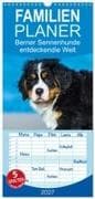 Familienplaner 2027 - Seebärchen entdecken die Welt - Berner Sennenhunde mit 5 Spalten (Wandkalender, 21 x 45 cm) CALVENDO