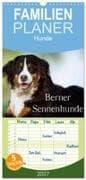 Familienplaner 2027 - Berner Sennenhunde mit 5 Spalten (Wandkalender, 21 x 45 cm) CALVENDO