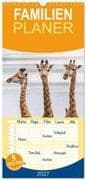 Familienplaner 2027 - Afrikas Tierwelt: Giraffen mit 5 Spalten (Wandkalender, 21 x 45 cm) CALVENDO