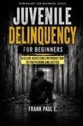 Juvenile Delinquency for Beginners